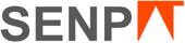 SenpAI Consulting
